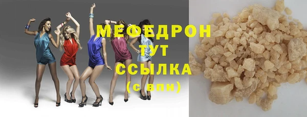 сатива Новозыбков
