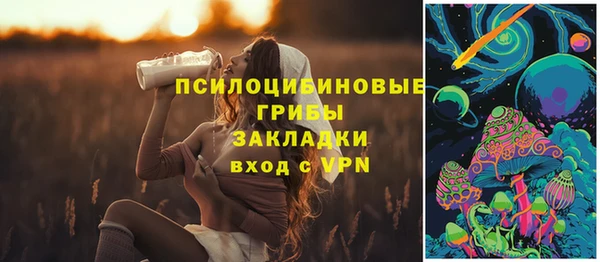 2c-b Нязепетровск