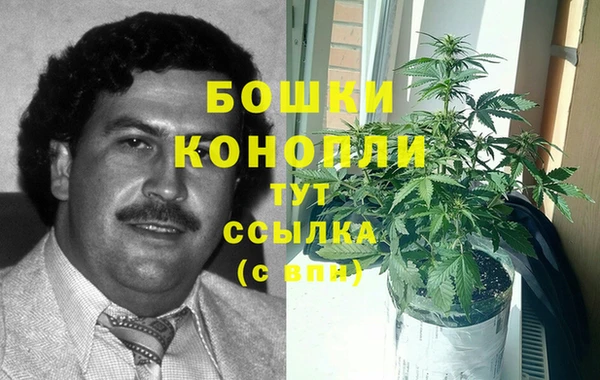 spice Няндома